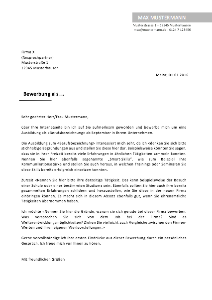 vorlage grau lebenslauf