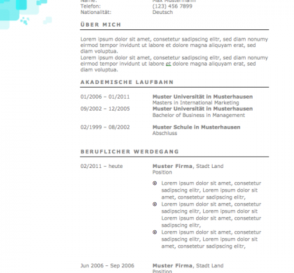 2017 Muster Lebenslauf MeineBewerbung.net 2017 Muster Lebenslauf MeineBewerbung.net
