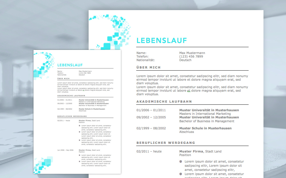 lebenslauf 2017 x cover