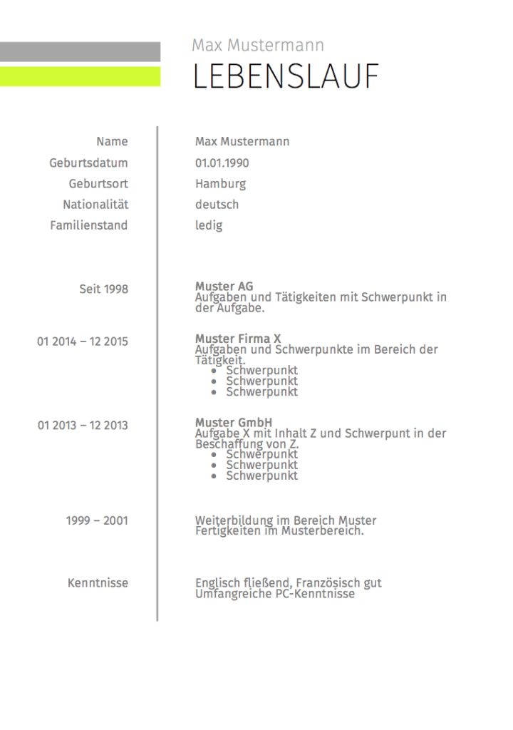 lebenslauf x1