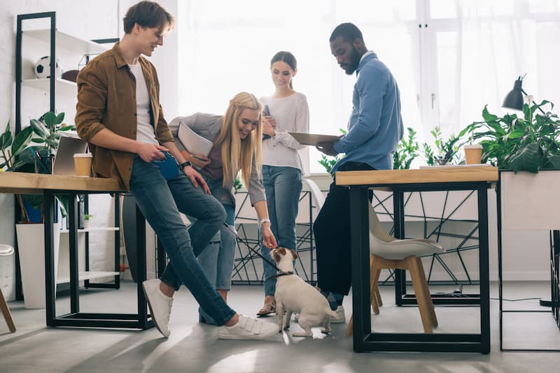 Mehrere Mitarbeiter mit einem Bürohund