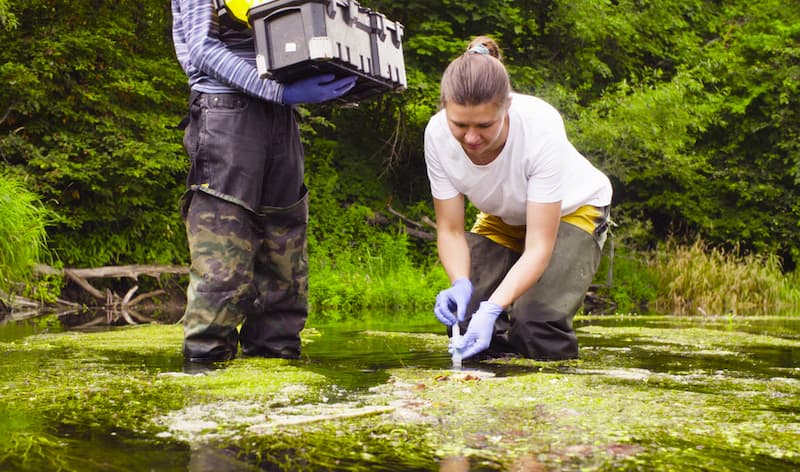 Eine Frau entnimmt eine Probe aus einem See, was ist der Bundesfreiwilligendienst?